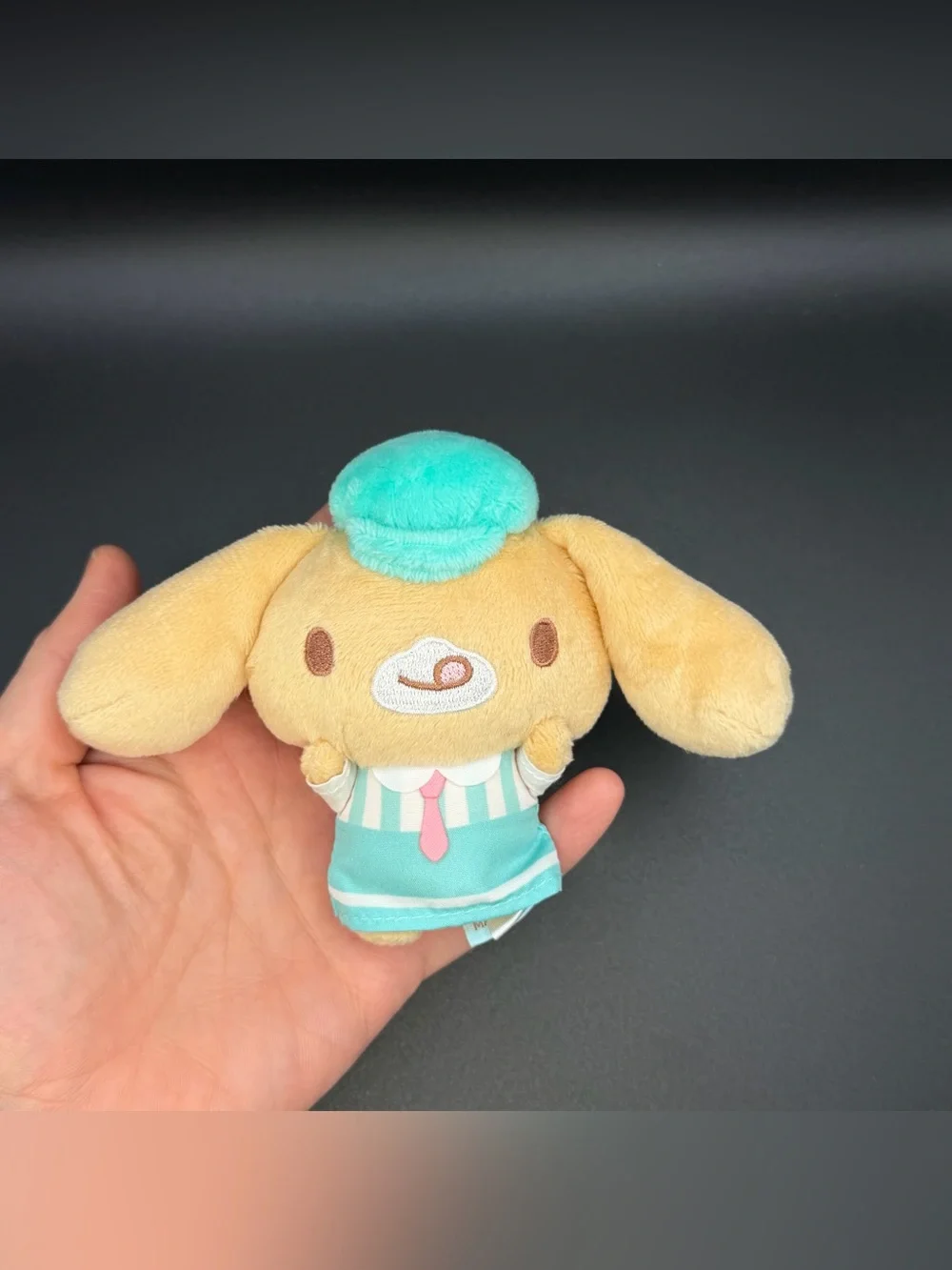 Korean  Sanrio Cafe Cappuccino Cinnamoroll  Plush /keychain  CN29